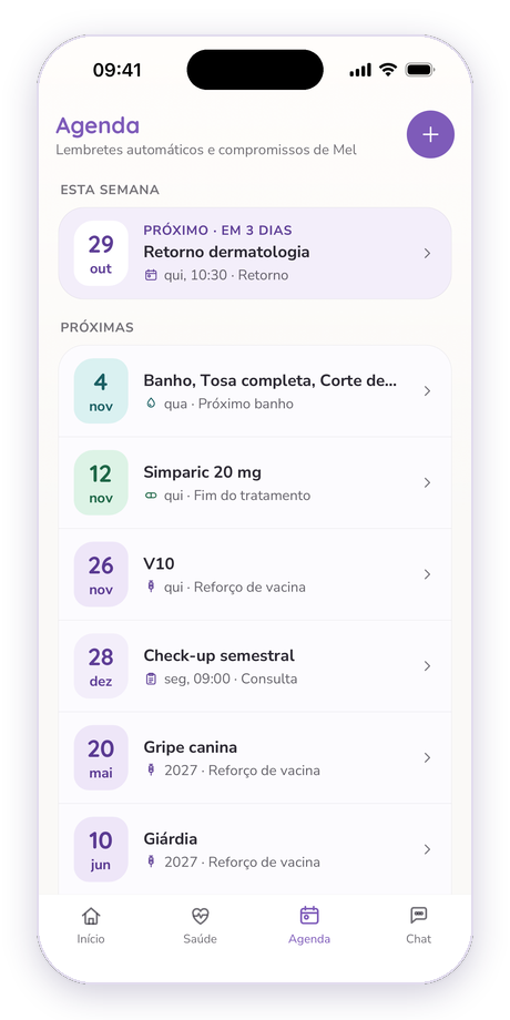 Agenda e compromissos
