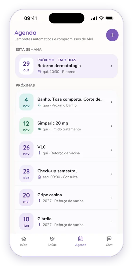 Agenda e compromissos